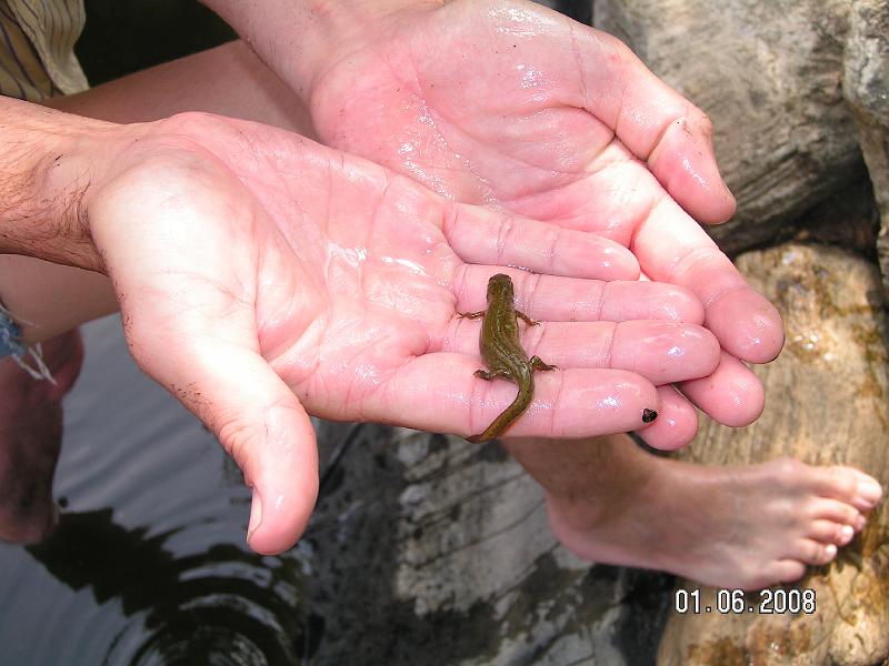 Cisteni a dodelavka jezirka (2).JPG